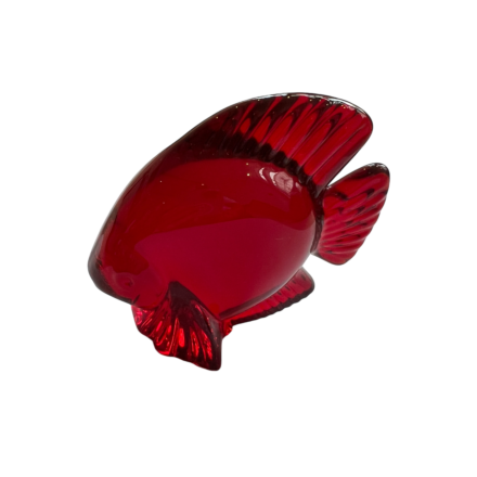 Red crystal fish Daum